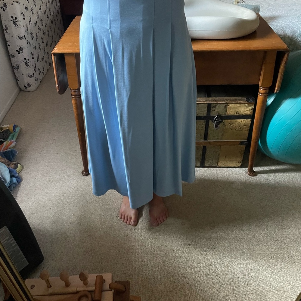 NWT Banana Republic Light Blue Ponte Pleated Maxi Skirt